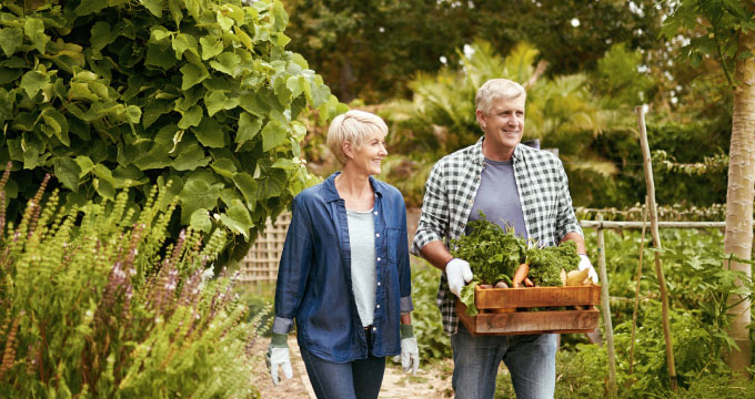 A mature couple walking in their garden. The man is holding a crate of vegetables. 